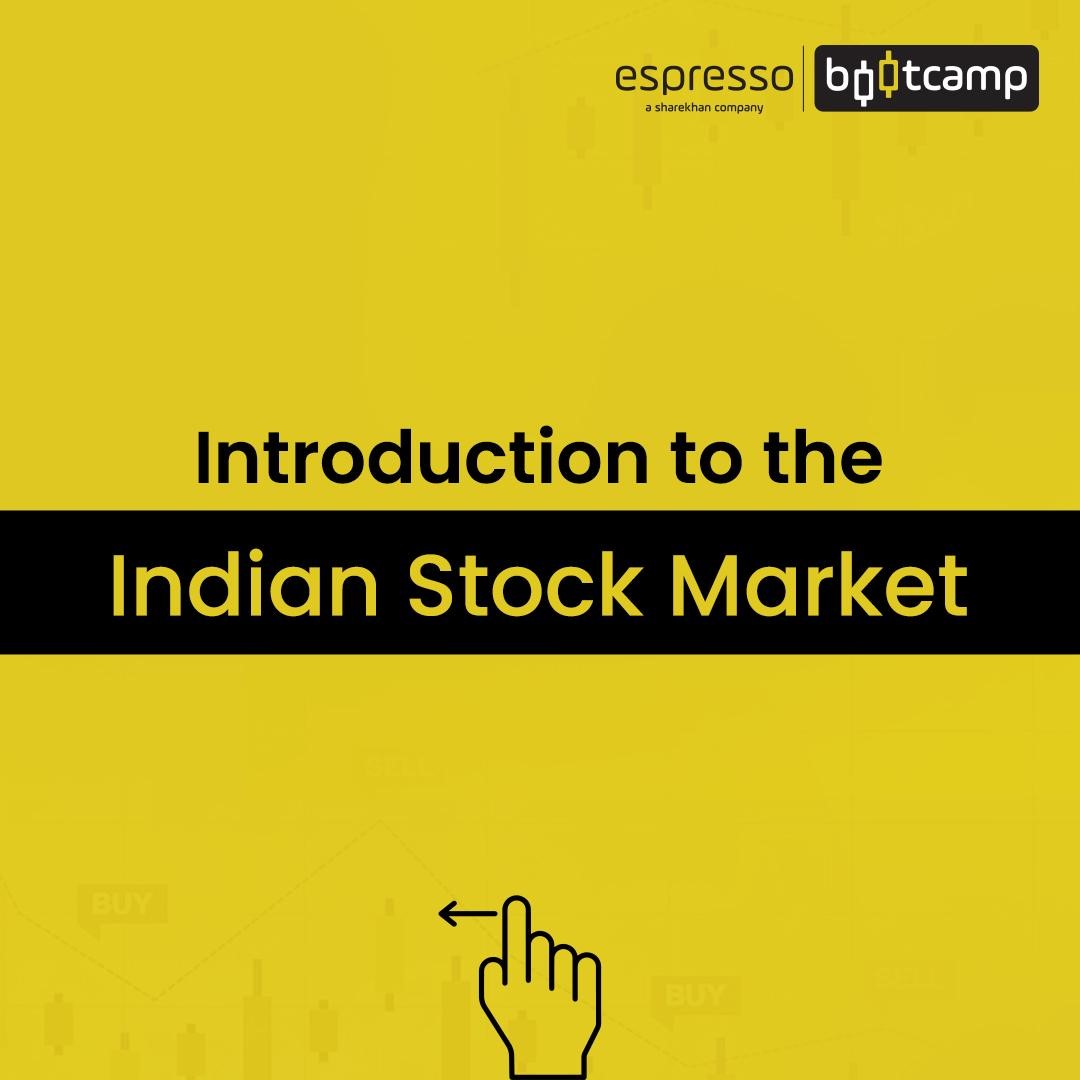 Introduction to the Stock Market