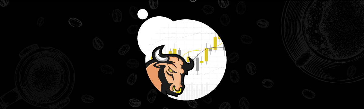 Top 5 Rules on Investing in a Bull market