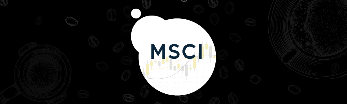 What is MSCI India Index? How does rebalancing impact investors and the stock market?